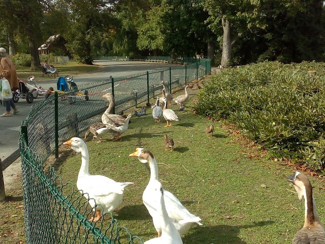 Parc Bordelais