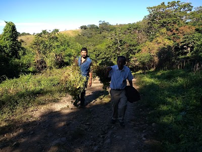 Photos of Melchor, New Providence