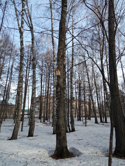 Photos of Kul'turno-Sportivnyy Tsentr "Mozhga"