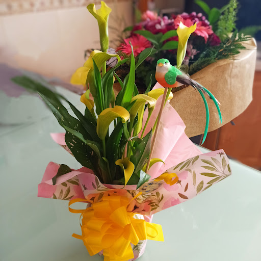 Floristería Los Olivos - Thumbnail
