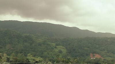 Photos of Darshana Garden Neluwa