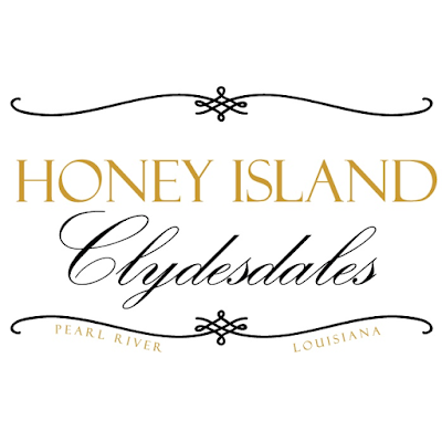 Honey Island Clydesdales