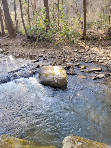 Norman Wilder Forest - Thumbnail