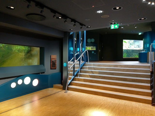 Aquazoo Löbbecke Museum Dusseldorf