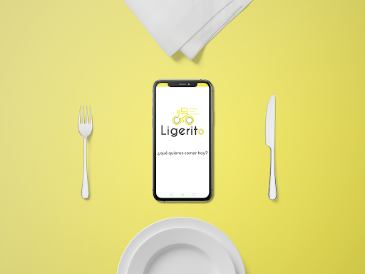 Ligerito - Visual