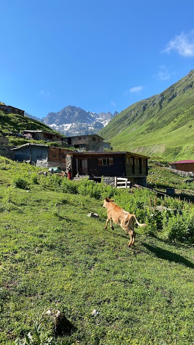 Aşağı Ceymakçur Yaylası