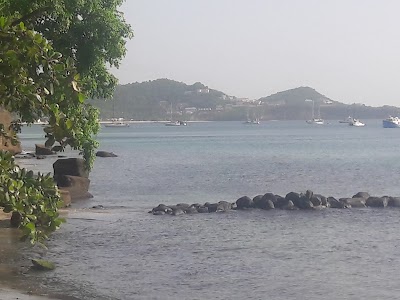 Photos of Island Dreams Yacht Services Inc.