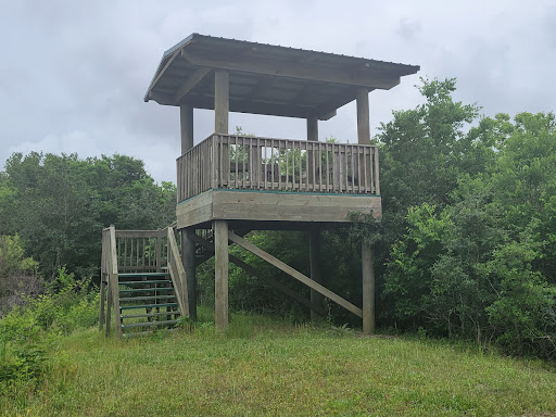 White Lake Conservation Area Bird and Nature Trail - Thumbnail