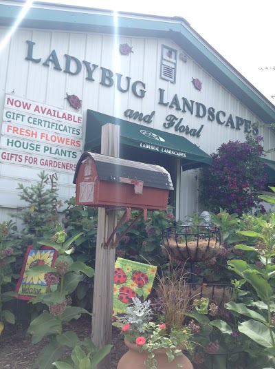 Ladybug Landscapes and Decorah Floral