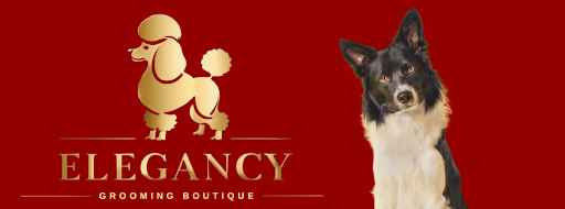 Elegancy Grooming Boutique