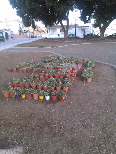 Photos of Rueda G&aacute;lvez Sc
