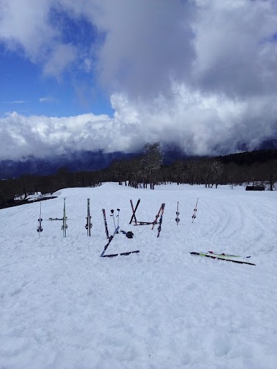 Photos of Centro de Nieve Bosque Nevado