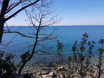 Spiaggia naturista