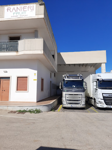 RANIERI FRUIT SRL - Visual