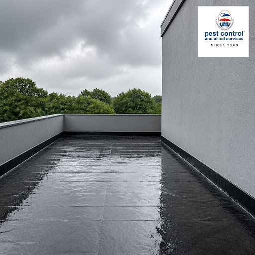 Worried about leaks and damp walls this monsoon? At Pest Control and Allied Services Private Limi… post image