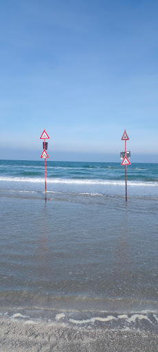 Beach Arena - Visual