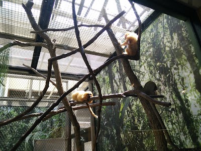 Small Mammal House