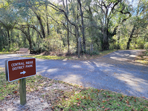 Florida Trail Citrus Springs Trailhead Logo