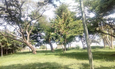 Photos of Ndere Island National Park