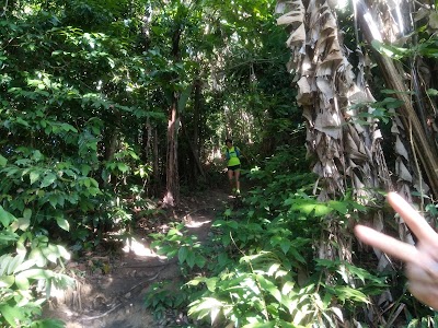 Jambul mana bukit daerah Jelutong, Penang