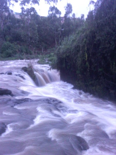 Photos of Kiawara