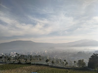 Photos of Bosscha