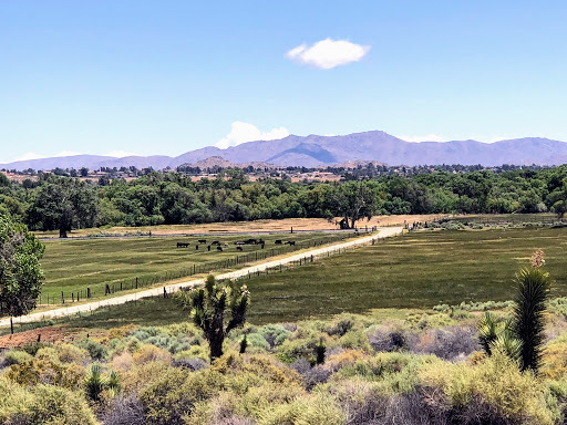 Kemper Campbell Ranch Gallery - United States