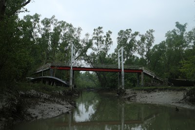 Photos of Tengragiri Wildlife Sanctuary