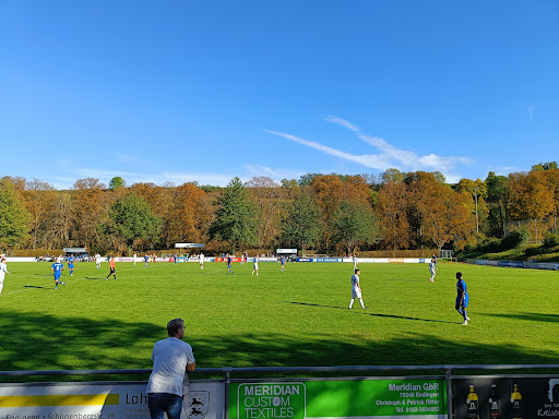 SV Endingen Gallery - Germany