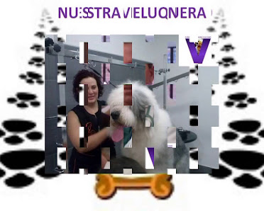 Vídeos