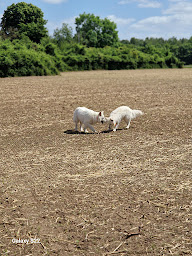 Photo n°14 de Luna&Co à Villeneuve-sur-Verberie (Service de transport)
