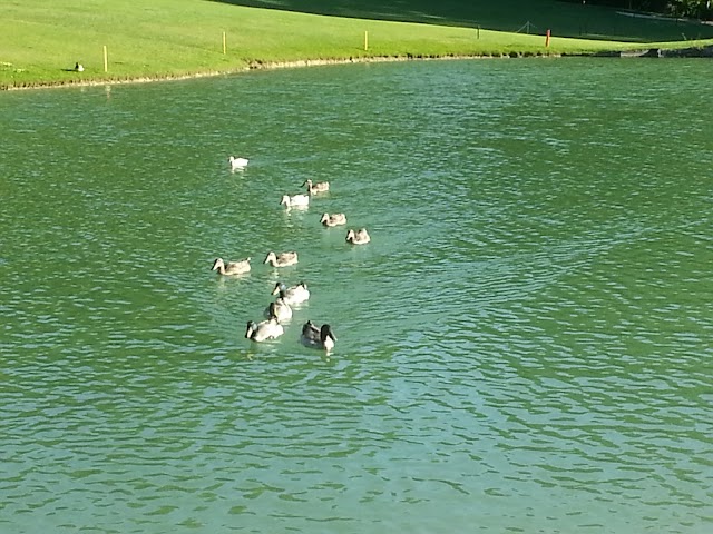 Golf et Country Club de Bossey