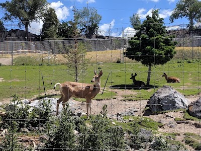 Zoo Idaho