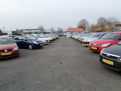 Photos of Auto-Park Worms