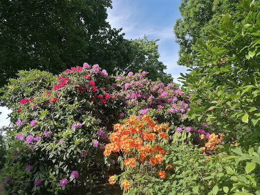 Königsteiner Kur Park - Thumbnail