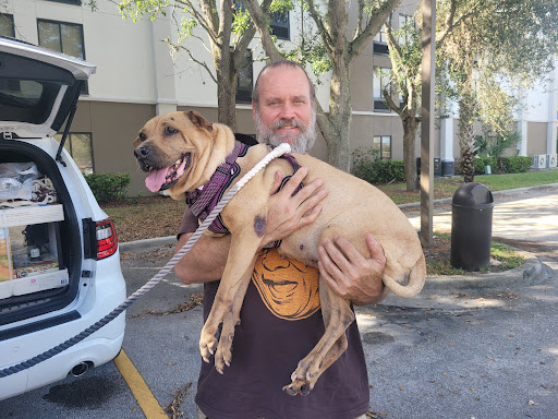 Biscayne Animal Hospital Gallery - United States