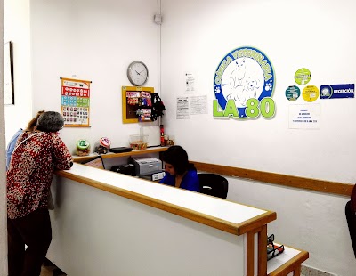 Photos of The Veterinary Clinic 80