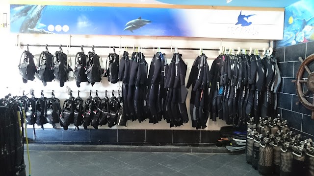 Club de Plongée Réunion Saint Gilles les Bains Escapade plongée