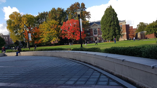 Library Quad - Visual