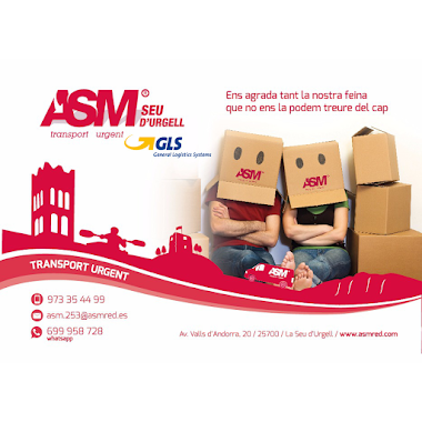TELETRANSPORTING ASM-GLS Seu D'Urgell, Author: TELETRANSPORTING ASM-GLS Seu D'Urgell