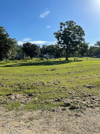 Fry Park - Visual