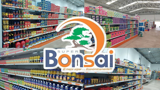 Súper Bonsai San Diego de La Unión