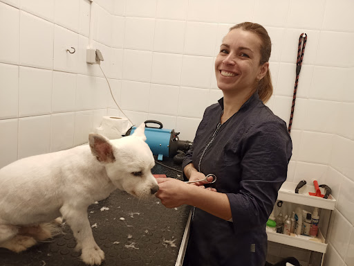 Clínica Veterinaria Casarrubuelos