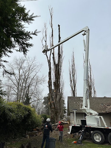 Trees Plus Northwest