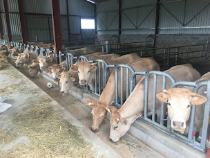 Photo n°12 de Ferme Rybinski à Villesèque (Boucherie-charcuterie)