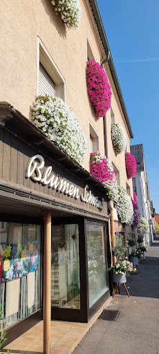 Blumen Schwind - Visual