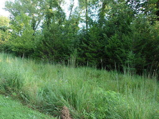 Fee Fee Greenway - Thumbnail
