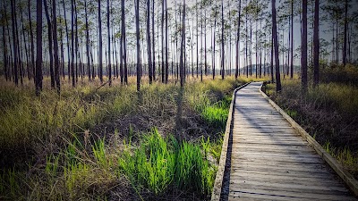 Big Branch Marsh National Wildlife Refuge