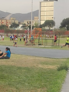 Federación Deportiva Peruana de Atletismo 2