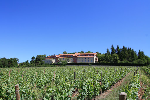 Photo de Colisée - EHPAD LES COLLINES DOREES à Châtillon (69380)